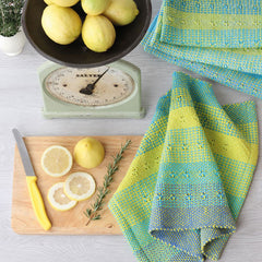 Rigid Heddle Weaving Basics and Beyond - Deborah Jarchow