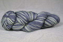 Collins Sport Schrödinger's Bags