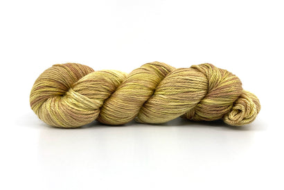 Experiment 20 - 100g - Specimen 555