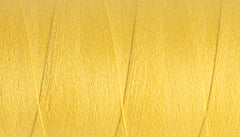 Yoga Yarn 8/2 Core Spun Cotton #354 Freesia / 200gm