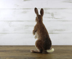 Romeo The Rabbit | Needle Felting Kit