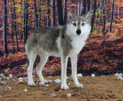 Winston The Wolf | Needle Felting Kit