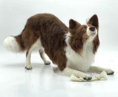 Benji The Border Collie | Artisan Needle Felting Kit