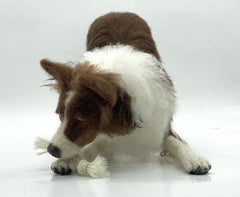 Benji The Border Collie | Artisan Needle Felting Kit