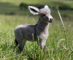 Diego The Donkey | Needle Felting Kit