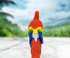 Pablo The Parrot | Needle Felting Kit