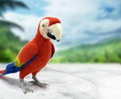 Pablo The Parrot | Needle Felting Kit