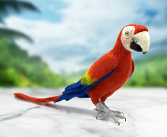 Pablo The Parrot | Needle Felting Kit