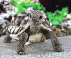 Toto The Tortoise | Needle Felting Kit