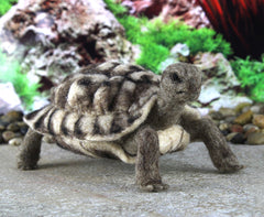 Toto The Tortoise | Needle Felting Kit