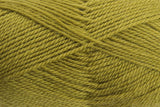 330 Ashford DK Yarn Beansprout