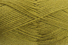 330 Ashford DK Yarn Beansprout