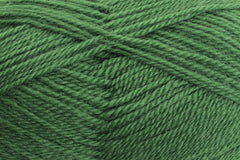 415 Ashford DK Yarn Shamrock