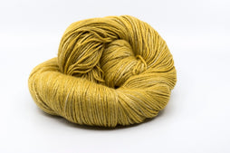 Newton Worsted - Amber