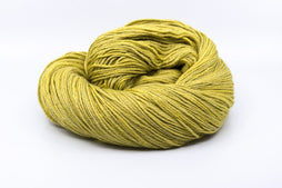 Newton Worsted - Citrine