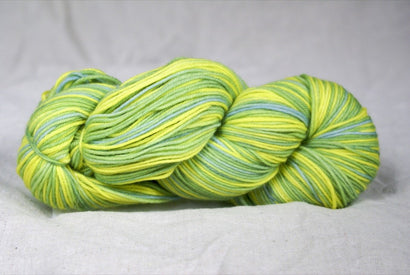 Collins Sport - Golden Browed Chlorophonia