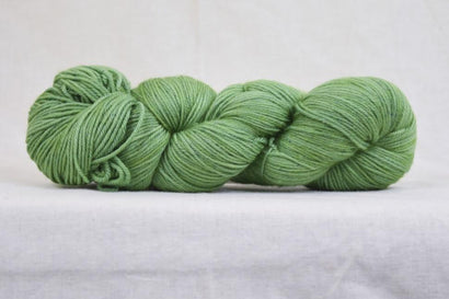 Collins Sport - Jadeite Jade