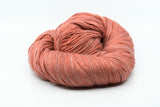 Newton Worsted - Precious Coral