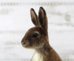 Romeo The Rabbit | Needle Felting Kit