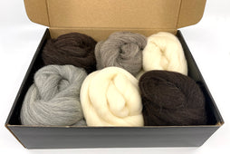 Fiber Lab - Sheep Breeds - Volume 2