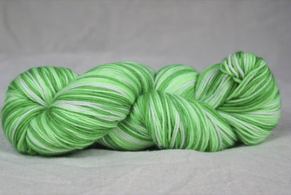 Collins Sport - Spider Plant