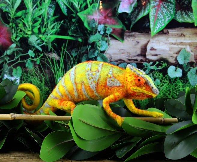 Chameleon Beginner Needlepoint Kit – Colour and Cotton