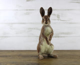 Romeo The Rabbit | Needle Felting Kit